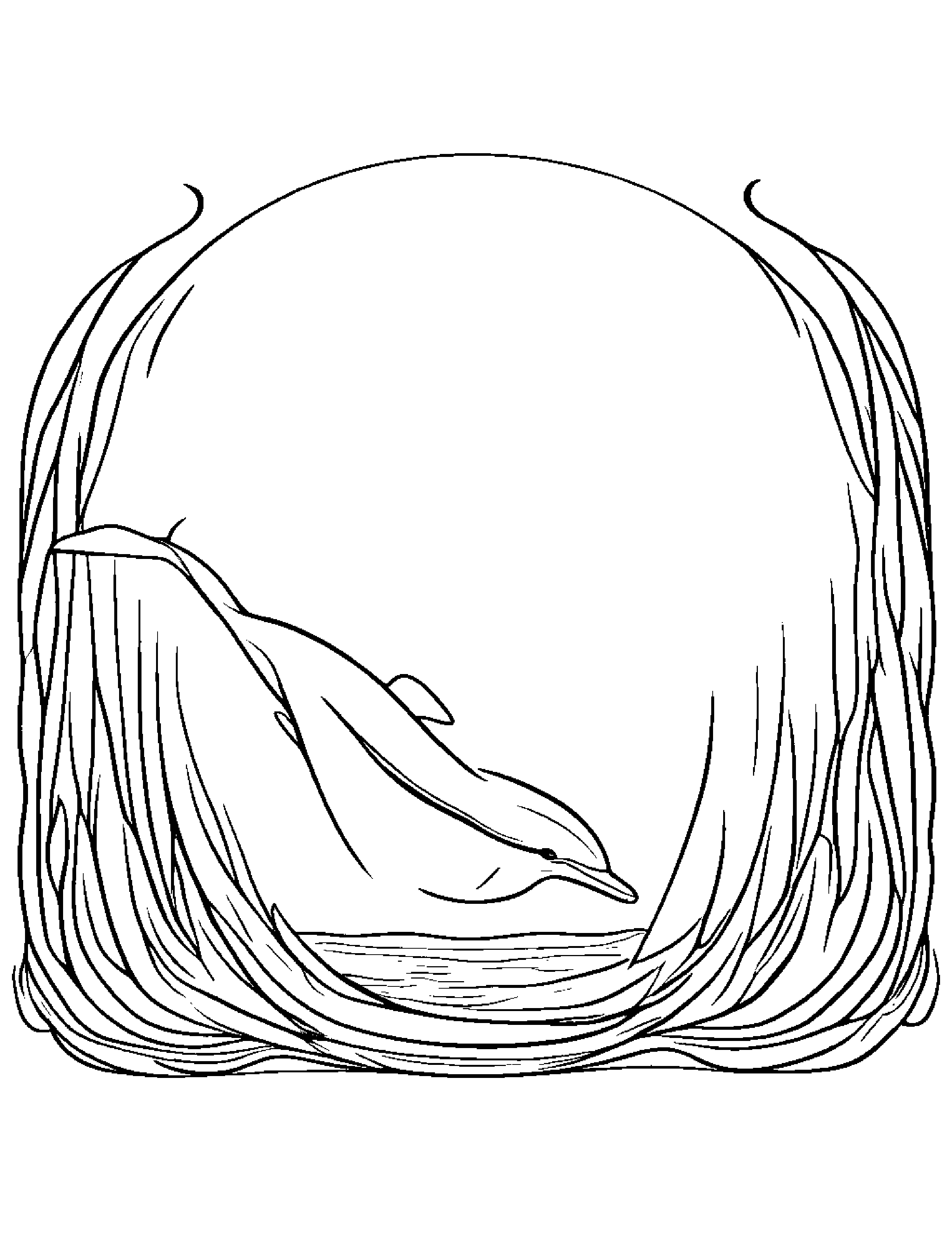 Dolphin #2 Coloring Page (Free Printable PDF)