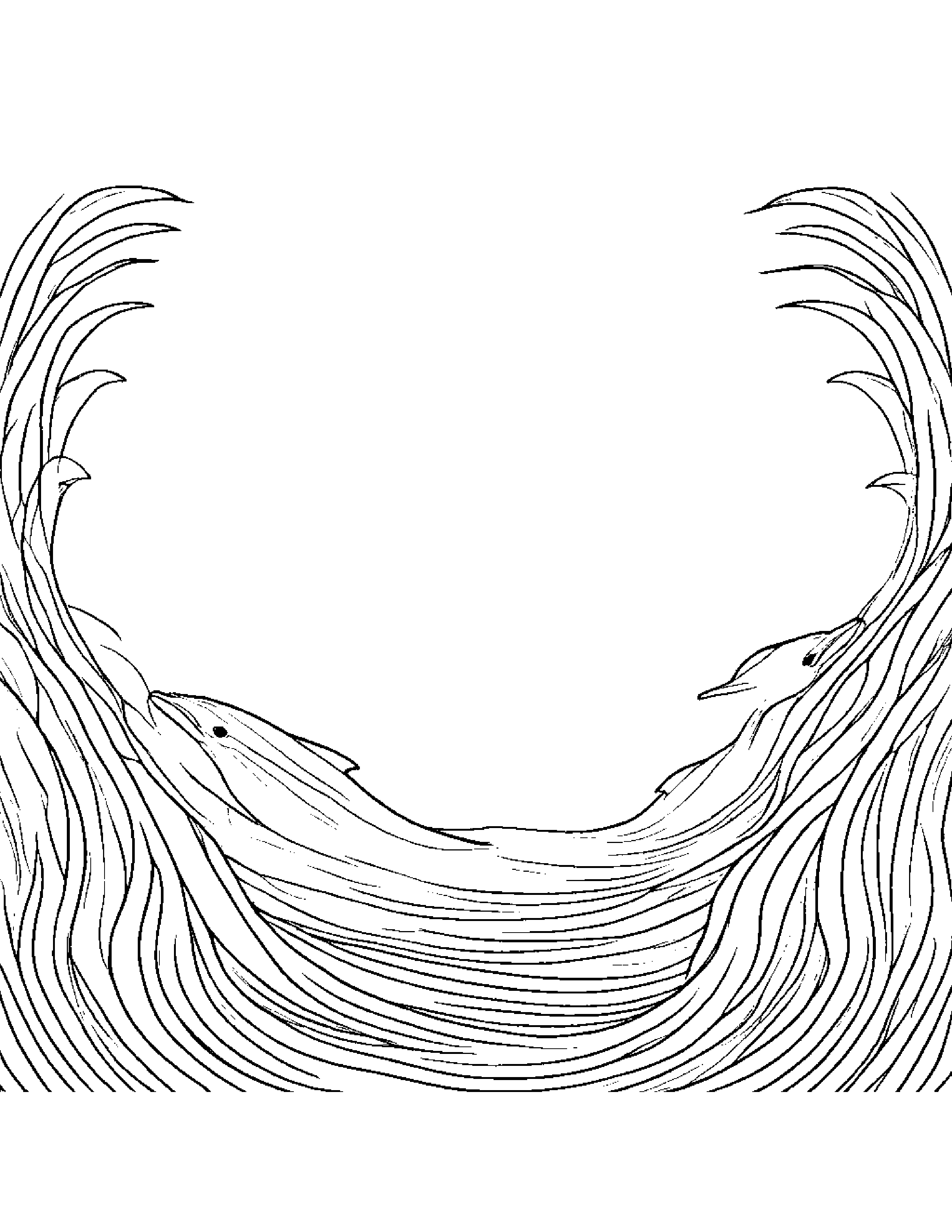 Dolphin Coloring Page (Free Printable PDF)