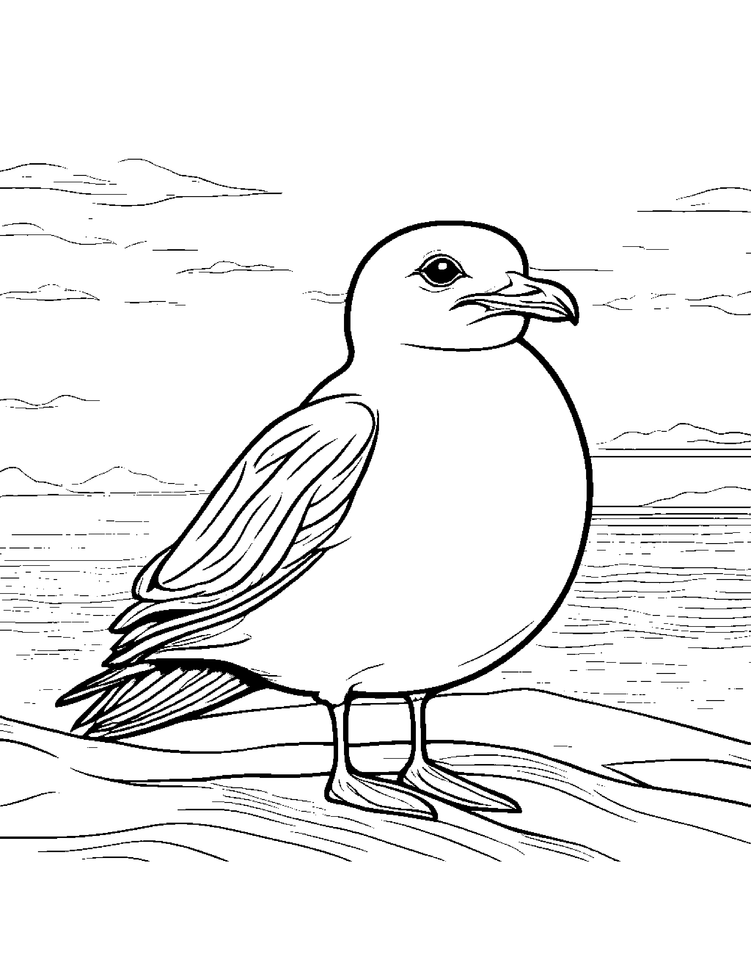 Little Seagull With Scarf Coloring Page (Free Printable PDF)