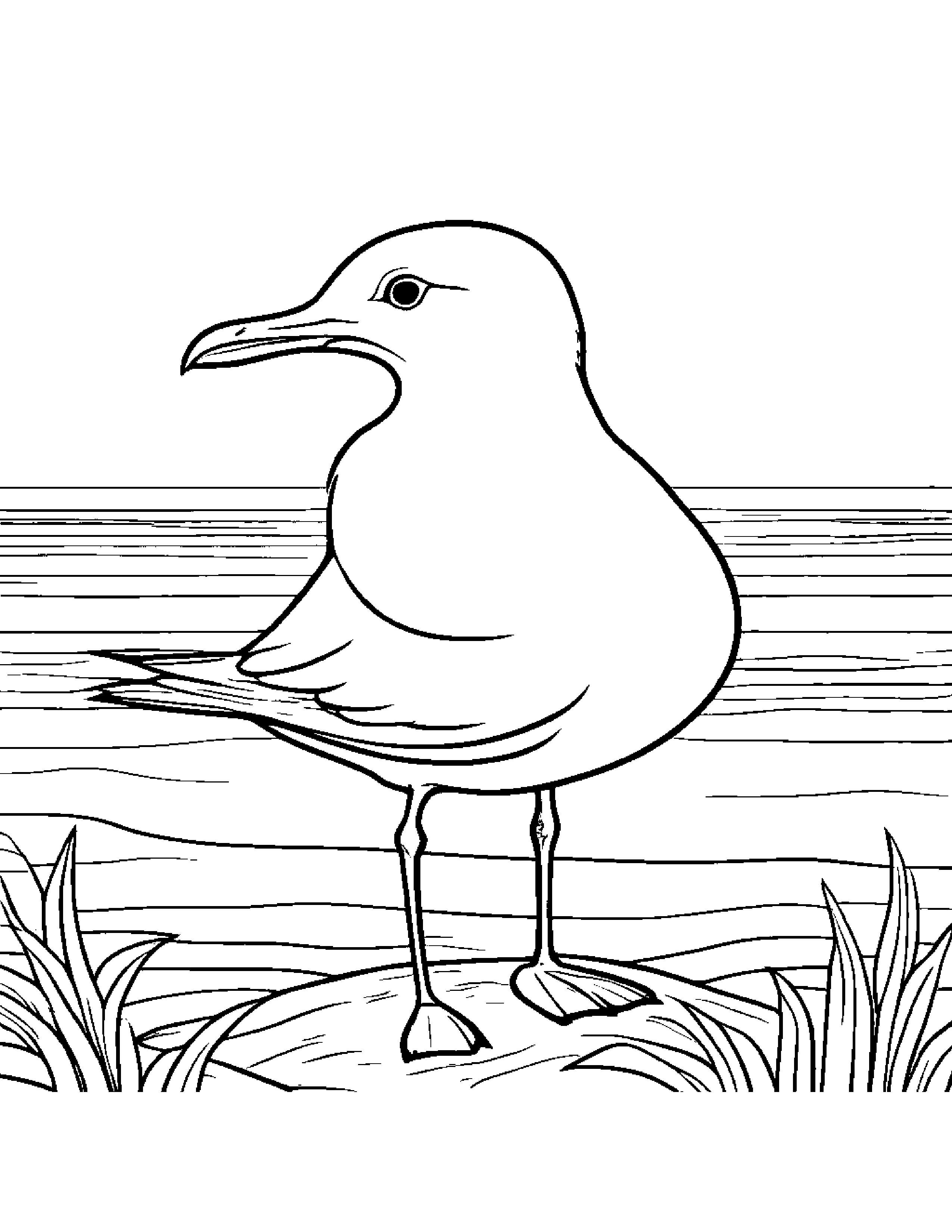 Seagull #2 Coloring Page (Free Printable PDF)
