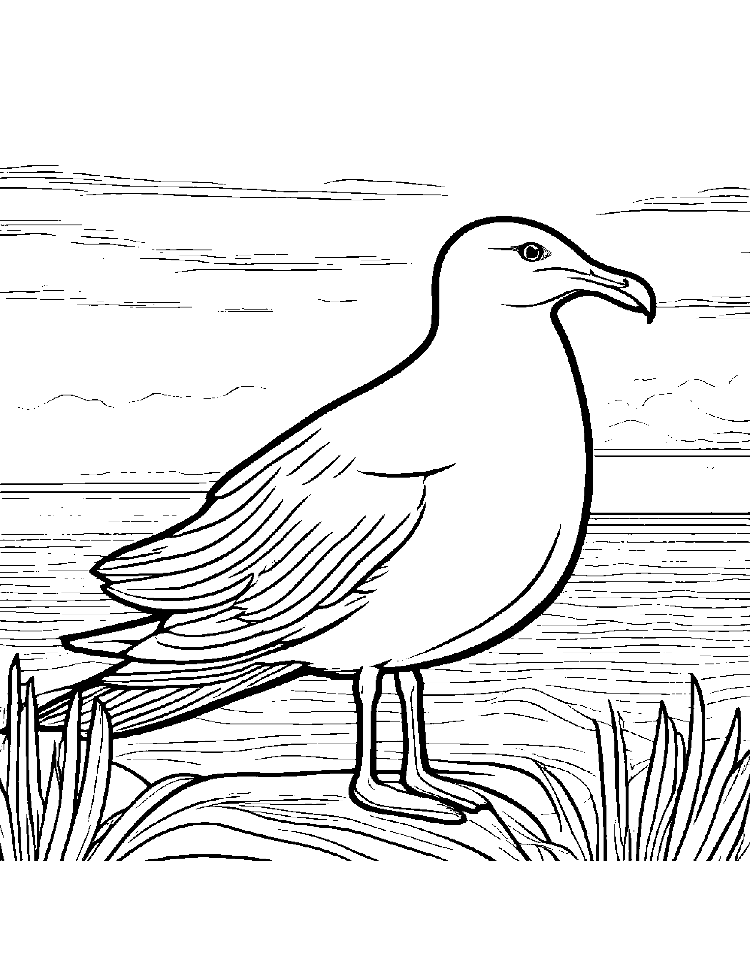 Seagull Coloring Page (Free Printable PDF)