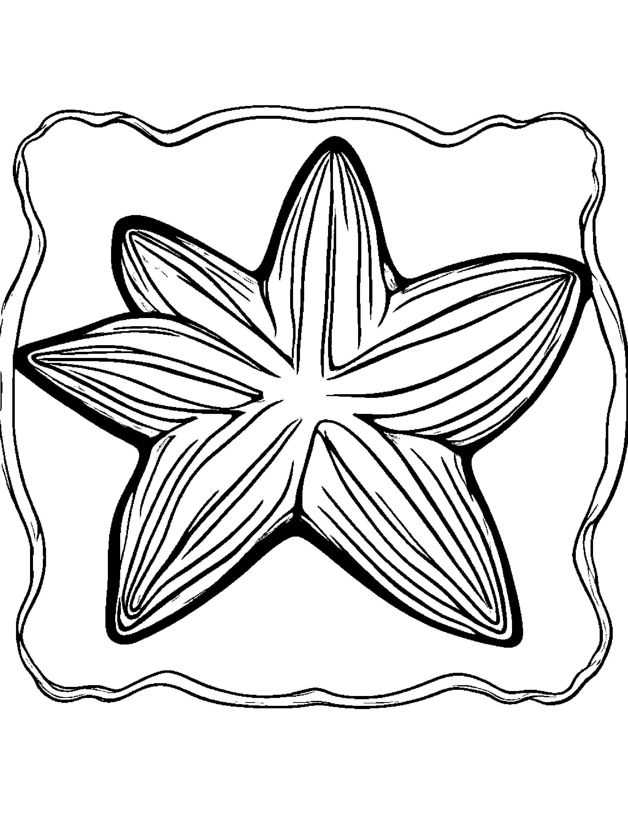 Starfish Coloring Page (Free Printable PDF)