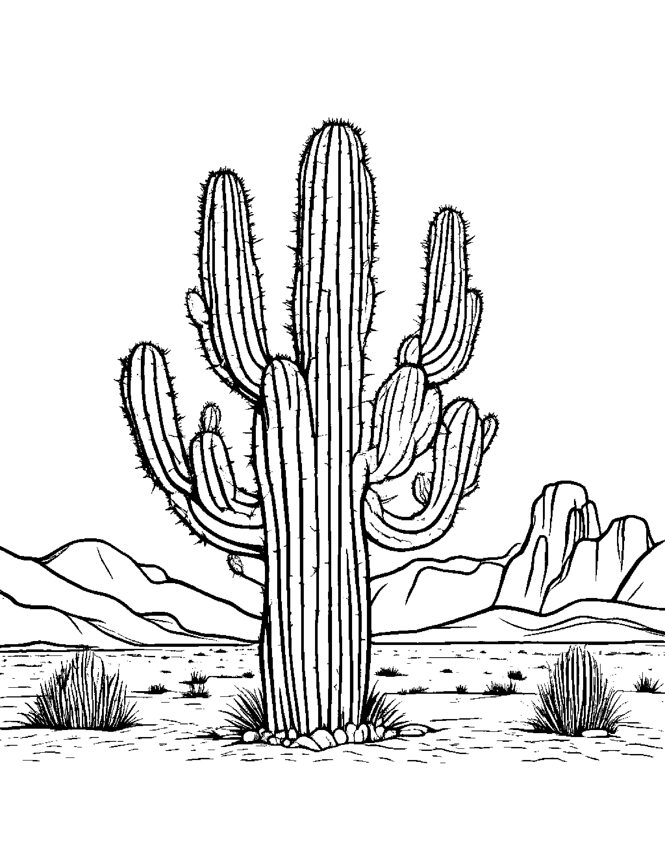 A Prickly Cactus Tree Surviving In A Barren Desert Landscape Coloring Page (Free Printable PDF)