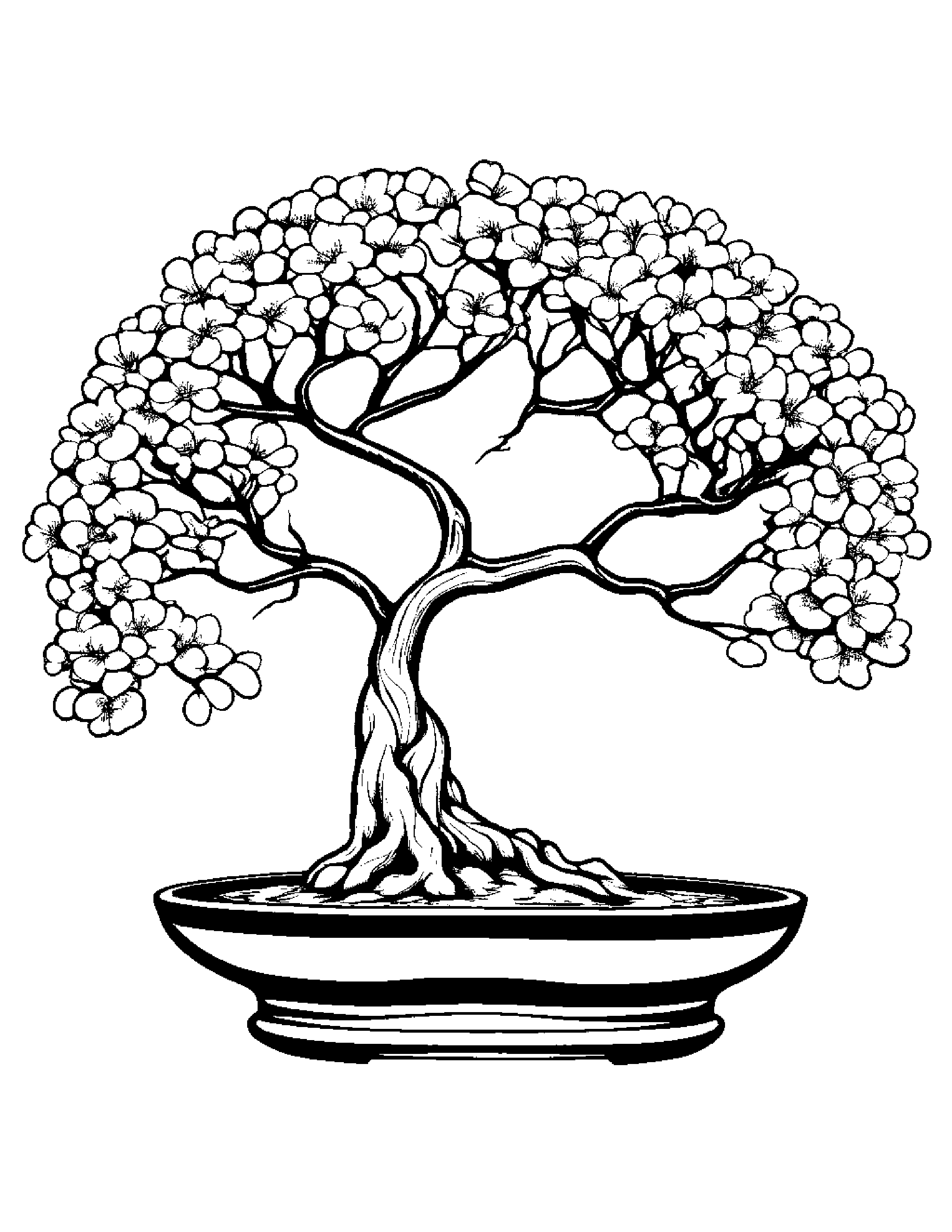 Bonsai Cherry Blossom Tree Coloring Page (Free Printable PDF)