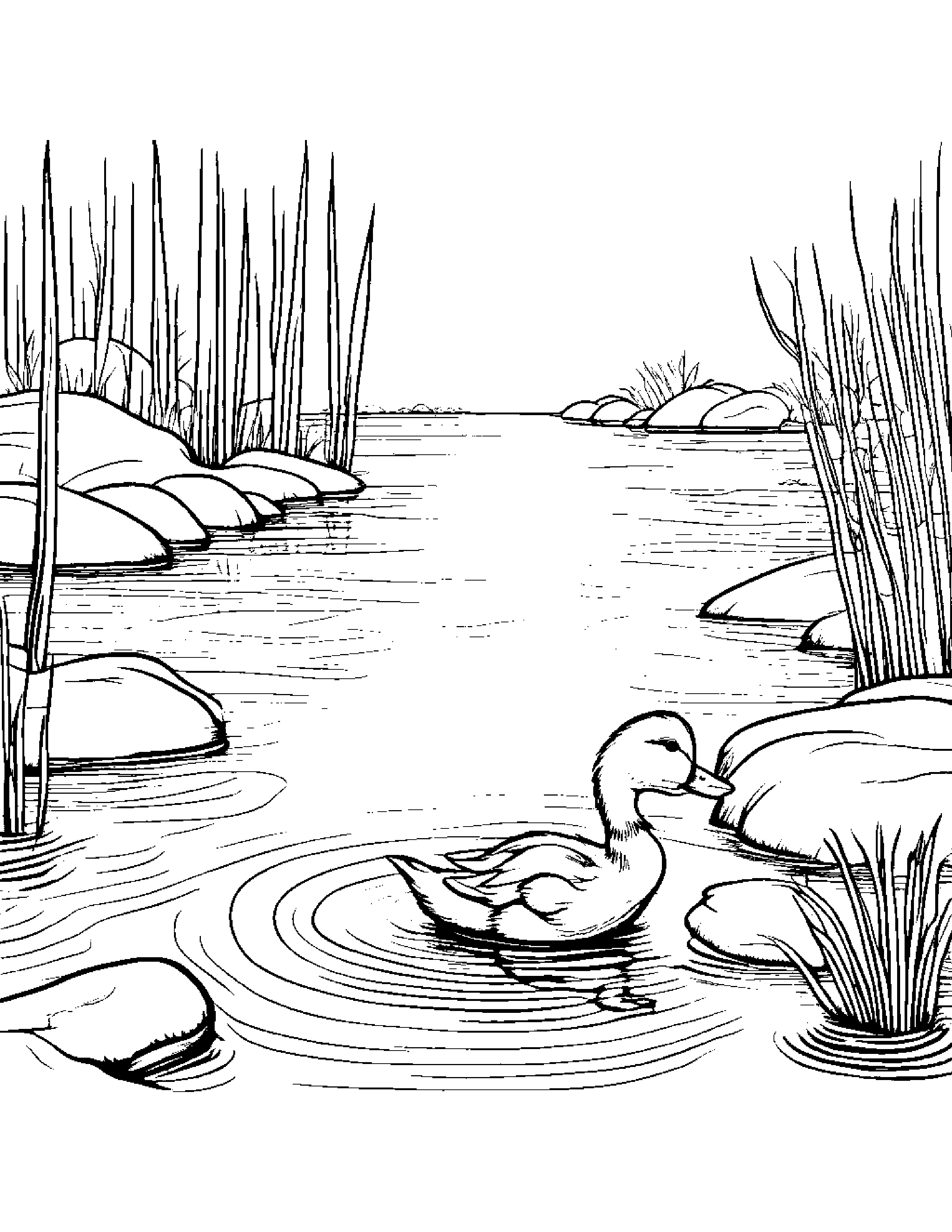 Shy Duckling Counting Near A Gentle Stream #4 Coloring Page (Free Printable PDF)