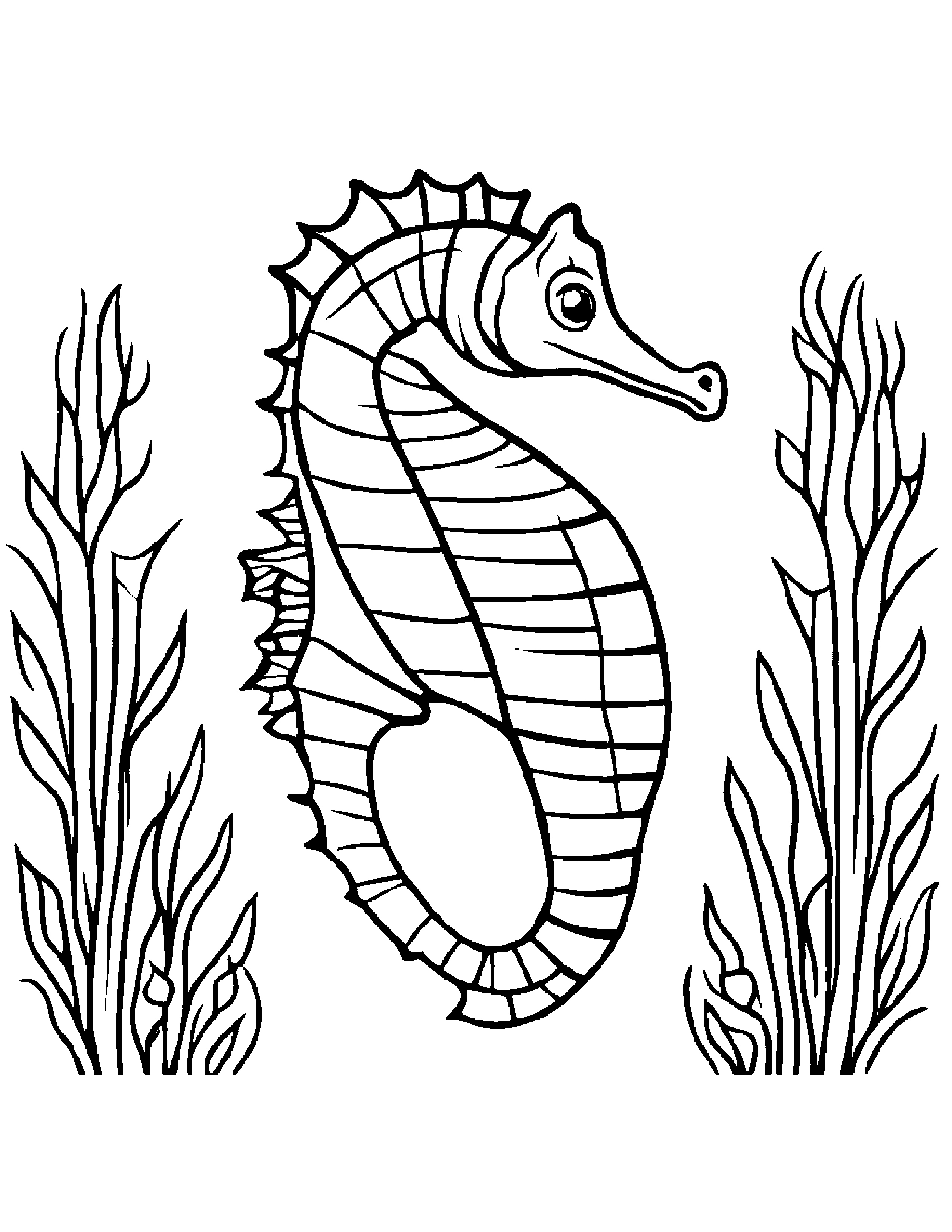 Seahorse #2 Coloring Page (Free Printable PDF)