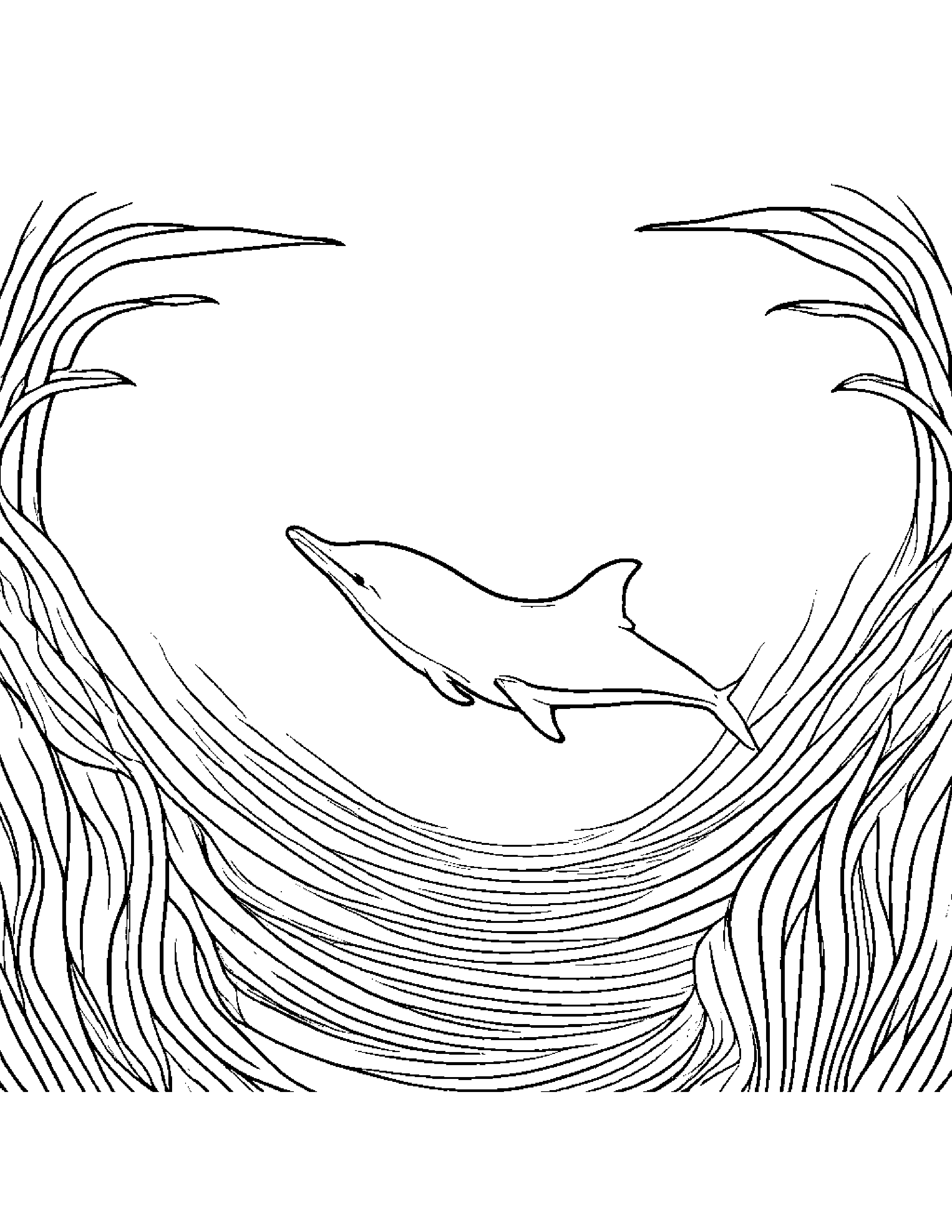 Tiny Dolphin Coloring Page (Free Printable PDF)