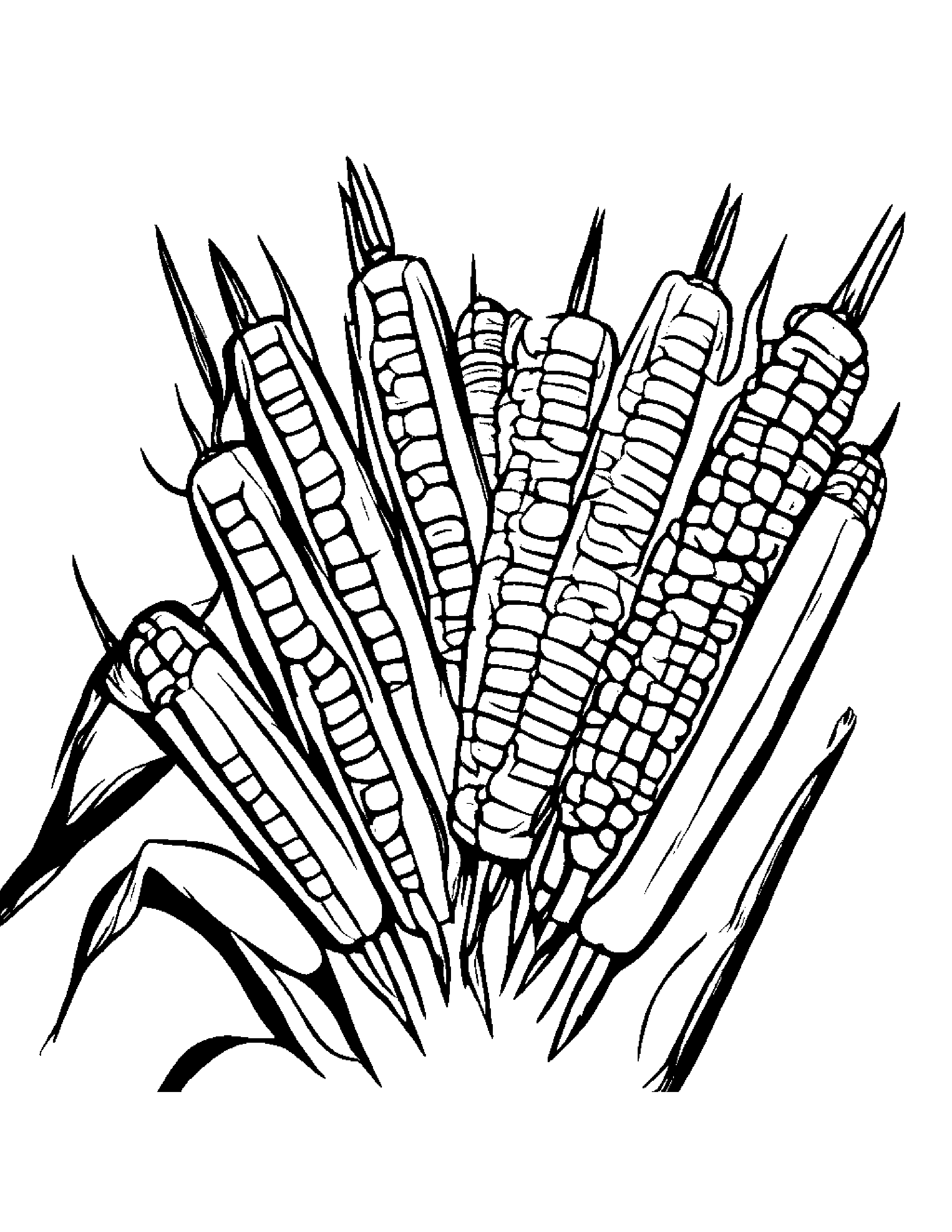 Grilled Skewers Of Grilled Corn On The Cob Coloring Page (Free Printable PDF)