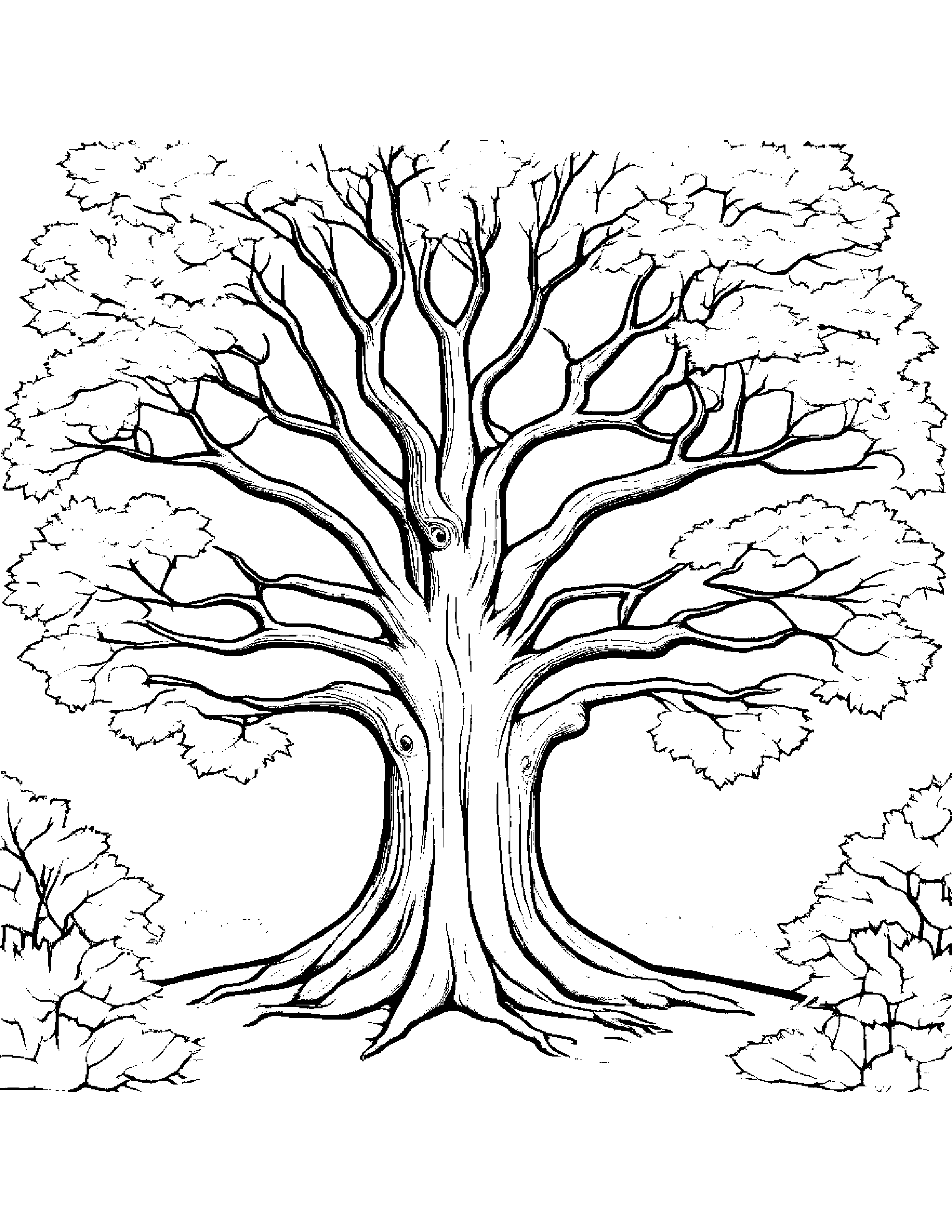 A Jubilee Red Maple Tree That Grows Two Trunks From One Base Instead Of One Coloring Page (Free Printable PDF)