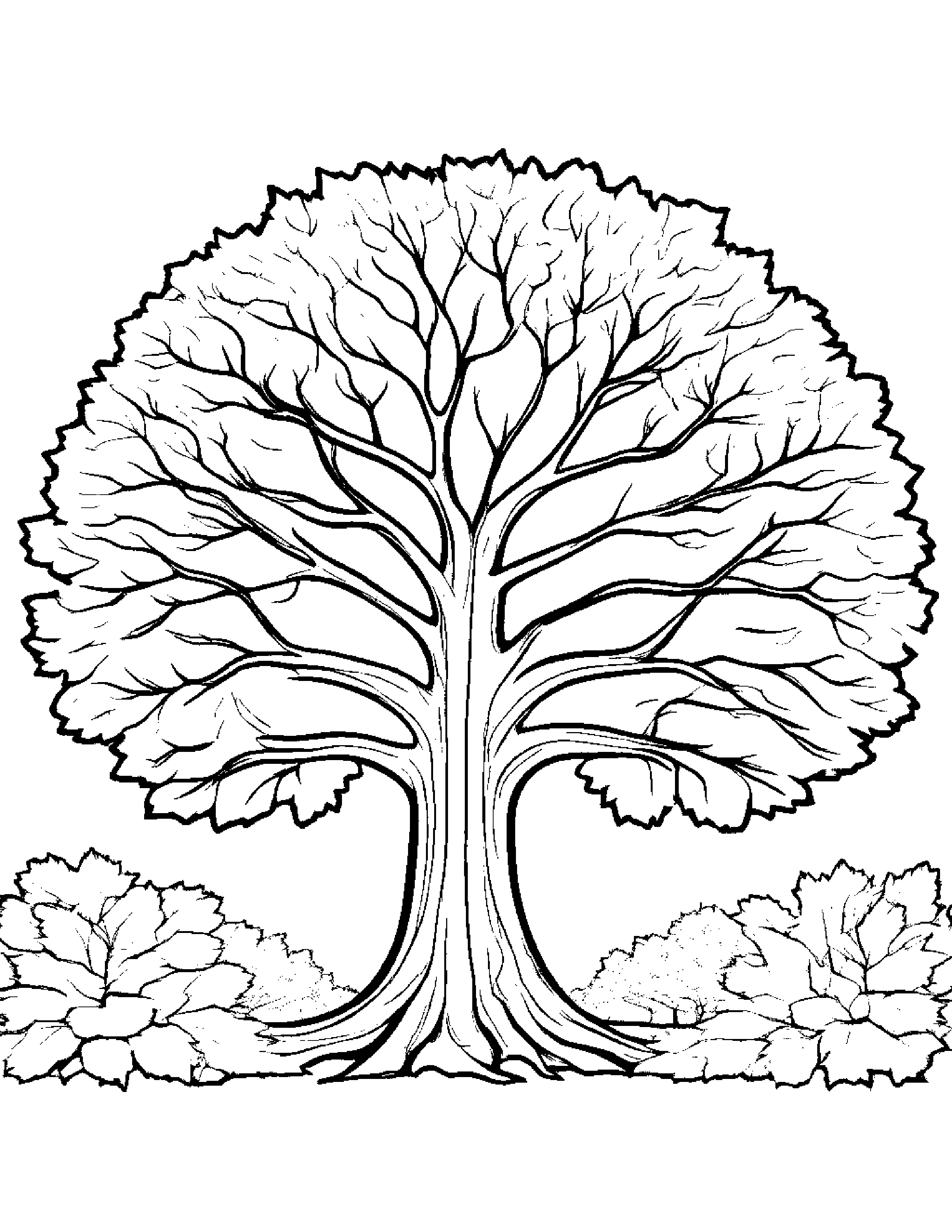 Red Maple Tree During Autumn Coloring Page (Free Printable PDF)