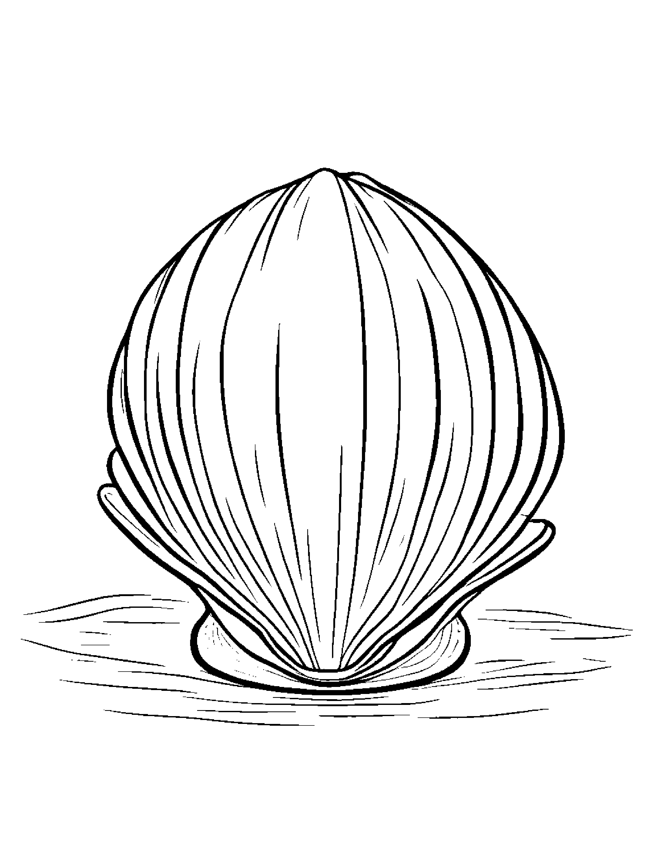 Baby Seashell Wearing A Hat Coloring Page (Free Printable PDF)