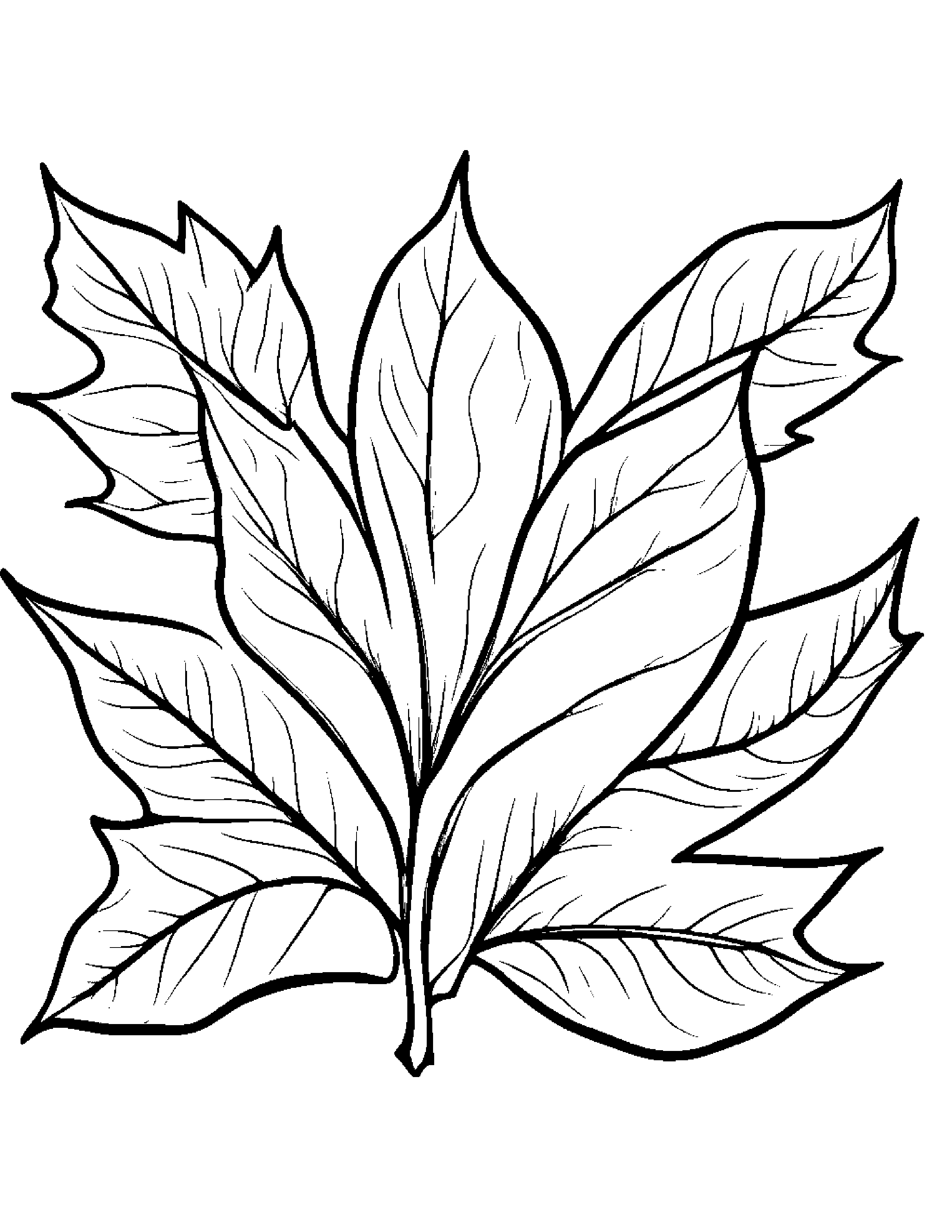 Fall Leaves #2 Coloring Page (Free Printable PDF)